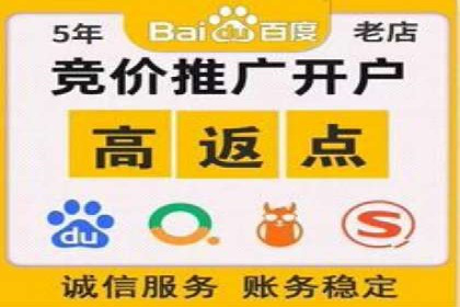 SEM搜索引擎优化：成功案例解析